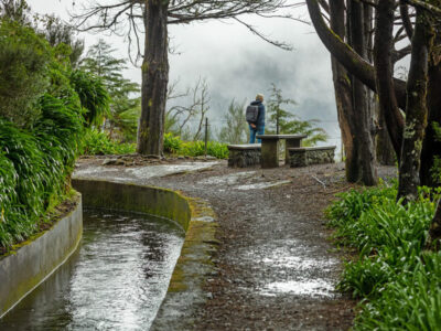 Full day Madeira island guided levada walk