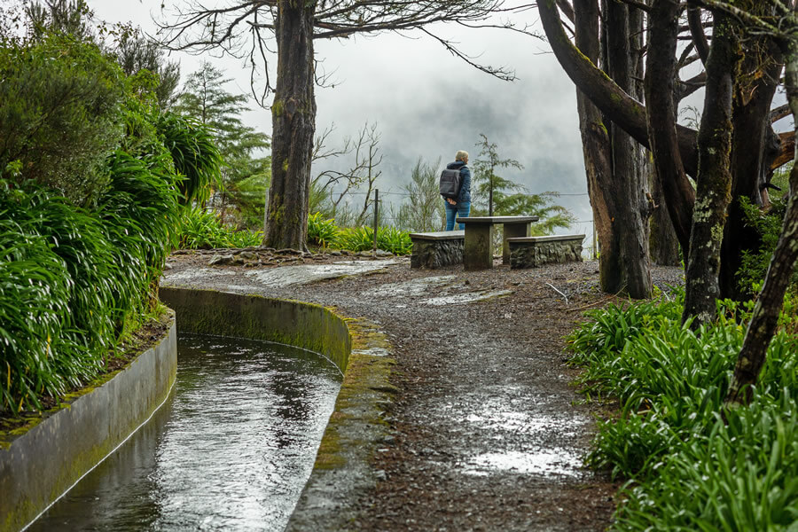 Full day Madeira island guided levada walk